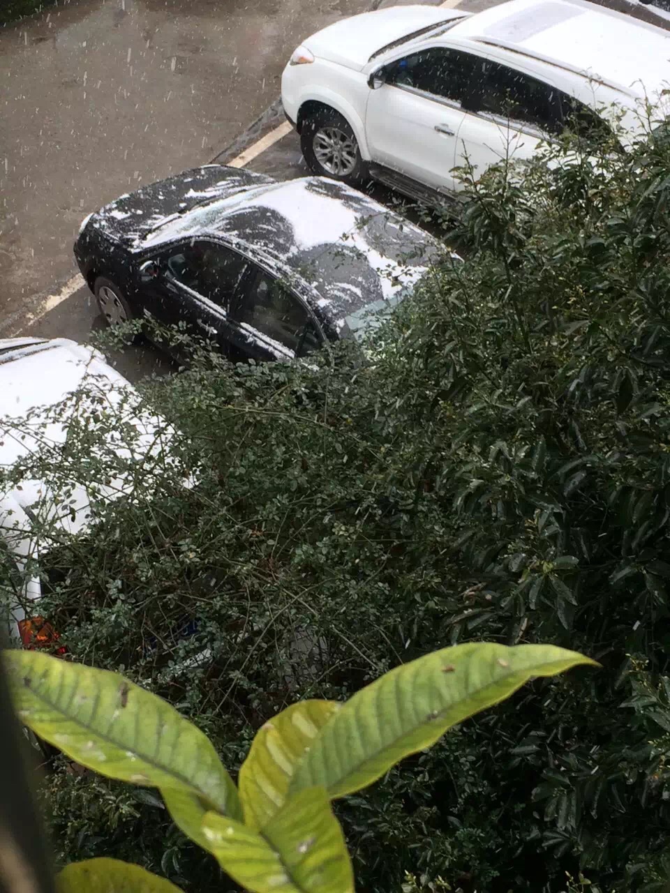 最强寒潮来袭&nbsp;泸州主城区降瑞雪(图6)