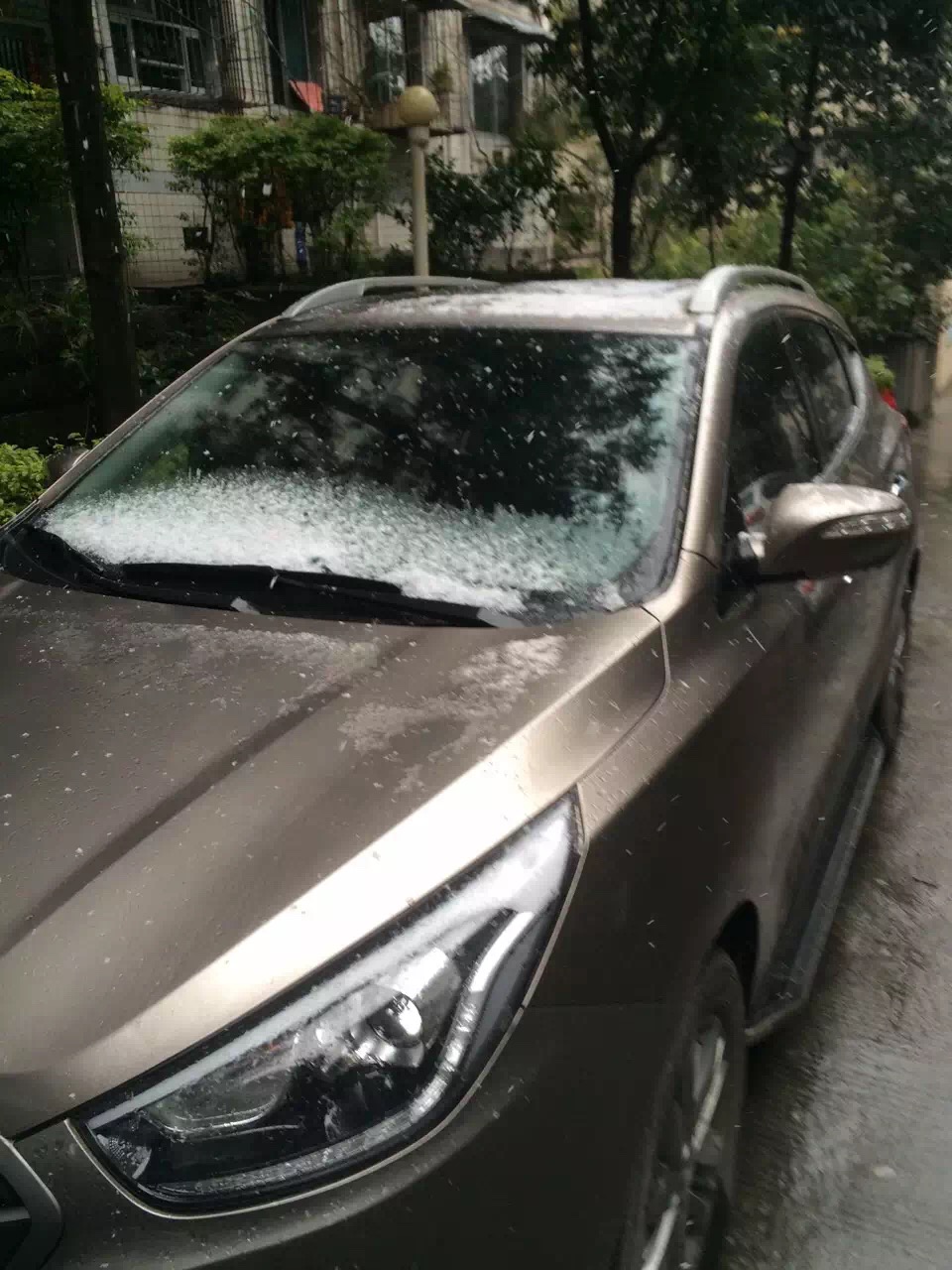 最强寒潮来袭&nbsp;泸州主城区降瑞雪(图5)