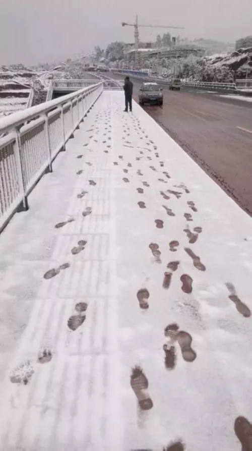 全泸州都白了!或是100年间最大的一场雪(图2) 全泸州都白了!或是100年间最大的一场雪(图2)