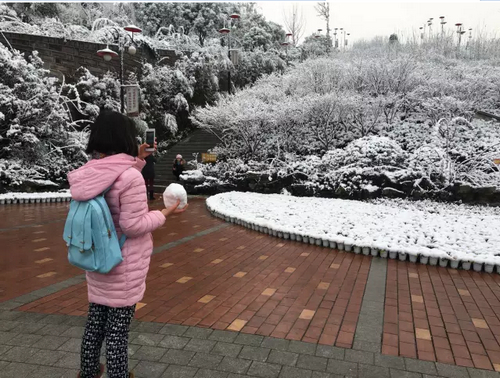 全泸州都白了!或是100年间最大的一场雪(图3) 全泸州都白了!或是100年间最大的一场雪(图3)