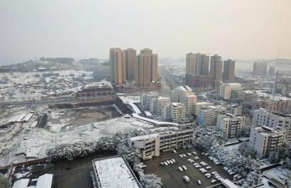 内江:大雪来袭 菜价整体上涨近三分之一(图1) 内江:大雪来袭 菜价整体上涨近三分之一(图1)