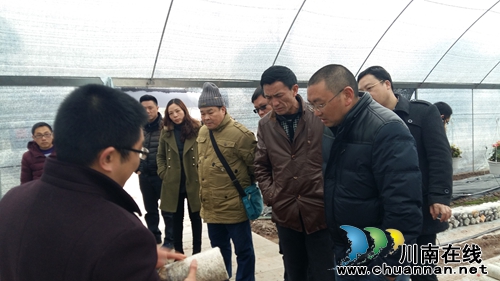 泸州市市委政研室到嘉明镇调研现代农业园(图2) 泸州市市委政研室到嘉明镇调研现代农业园(图2)