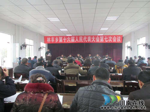 林丰乡第十六届人民代表大会第七次会议顺利召开(图1) 林丰乡第十六届人民代表大会第七次会议顺利召开(图1)