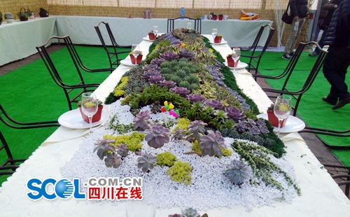 宜宾"风铃谷"2月2日开园&nbsp;四季赏景不"断片"(图4)
