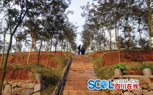 宜宾"风铃谷"2月2日开园&nbsp;四季赏景不"断片"(图7)