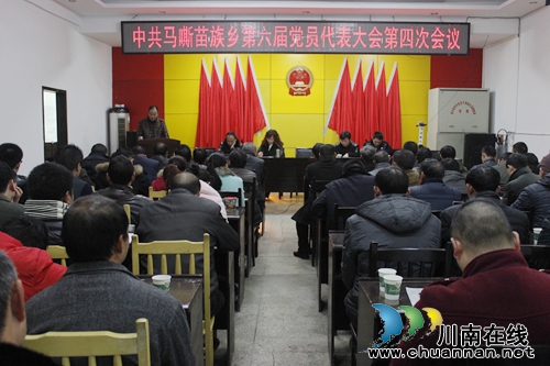 古蔺马嘶苗族乡召开第六届党员代表大会第四次会议(图1)