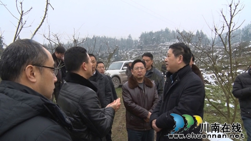 四川省农业厅副厅长祝均到护家镇指导产业发展工作(图1)