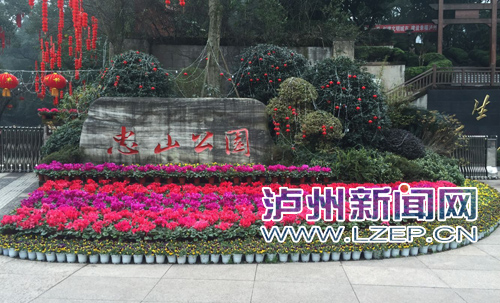 百花竞放 泸州公园绿地春意盎然(图1) 百花竞放 泸州公园绿地春意盎然(图1)