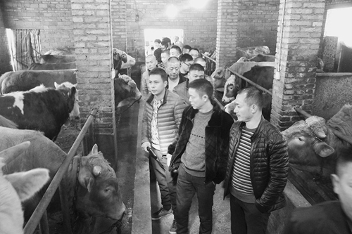 “漂一代”或成返乡创业新榜样(图2)