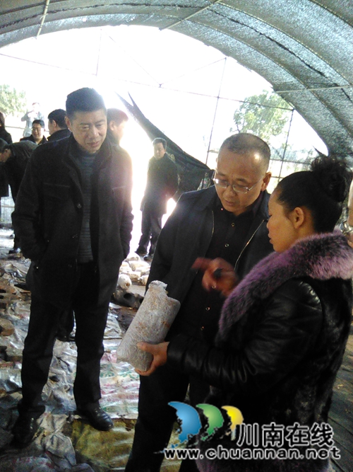 泸州市委常委、市农工委主任李晓宇调研嘉明镇农业建设工作(图2) 泸州市委常委、市农工委主任李晓宇调研嘉明镇农业建设工作(图2)