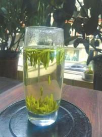 第九届宜宾早茶节开园采摘活动2月24日开幕(图2)