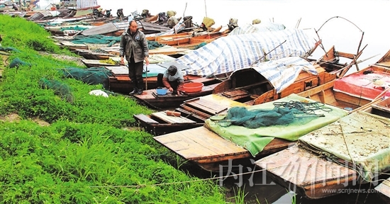 内江禁渔仨月&nbsp;让沱江流域生态更美(图2)
