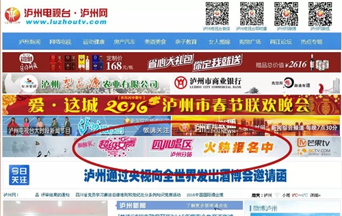 “芒果TV2016超级女声”泸州赛区开始报名啦！(图3)
