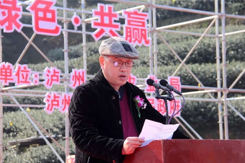 泸州:早春二月特早茶 一盒拍出9000元(图10) 泸州:早春二月特早茶 一盒拍出9000元(图10)