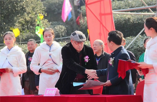 泸州:早春二月特早茶 一盒拍出9000元(图9) 泸州:早春二月特早茶 一盒拍出9000元(图9)