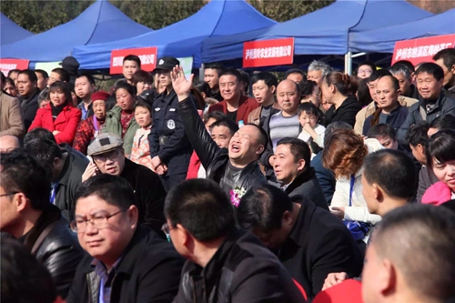 泸州:早春二月特早茶 一盒拍出9000元(图13) 泸州:早春二月特早茶 一盒拍出9000元(图13)