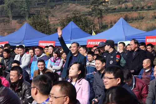 泸州:早春二月特早茶 一盒拍出9000元(图14) 泸州:早春二月特早茶 一盒拍出9000元(图14)