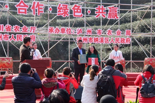 泸州:早春二月特早茶 一盒拍出9000元(图15) 泸州:早春二月特早茶 一盒拍出9000元(图15)
