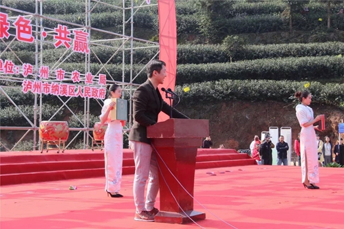 泸州:早春二月特早茶 一盒拍出9000元(图11) 泸州:早春二月特早茶 一盒拍出9000元(图11)