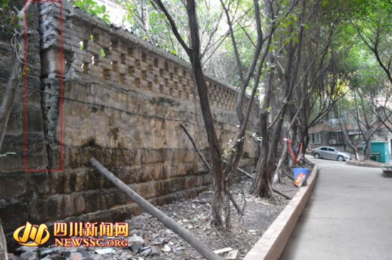 泸州12根树丫欲抵挡倾斜堡坎 网友:螳臂当车(图1) 泸州12根树丫欲抵挡倾斜堡坎 网友:螳臂当车(图1)