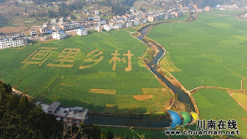泸州古蔺双沙菜花节3月12日开幕(图1)