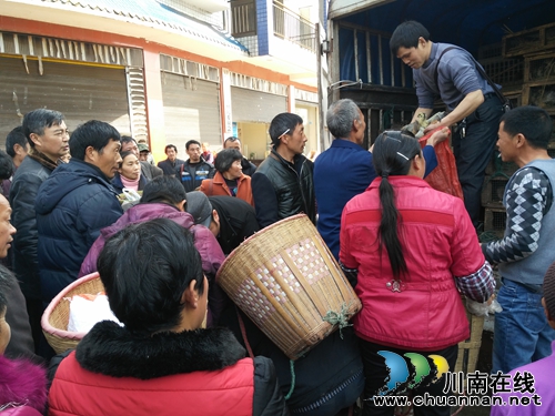 合江五通镇：种苗送到家“造血”扶贫拔穷根(图1)