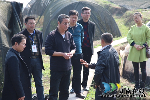 省残联教就处长黄勇到合江调研股权量化工作(图1) 省残联教就处长黄勇到合江调研股权量化工作(图1)