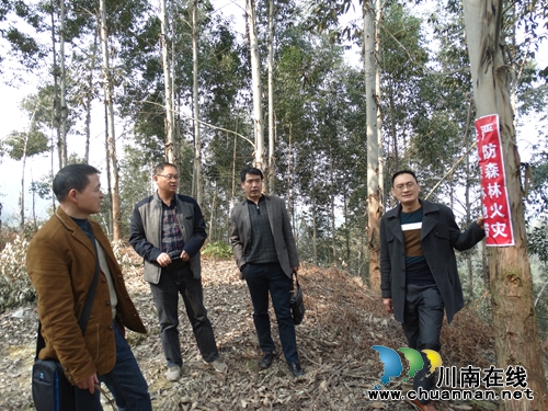 泸州市林业局领导督查泸县2016年林业工作(图1) 泸州市林业局领导督查泸县2016年林业工作(图1)