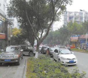 泸州：小区“车满为患”&nbsp;违停住户受罚单困扰(图1)