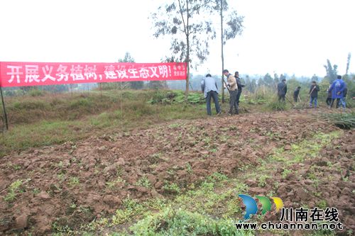 泸县喻寺镇开展义务植树活动(图1) 泸县喻寺镇开展义务植树活动(图1)