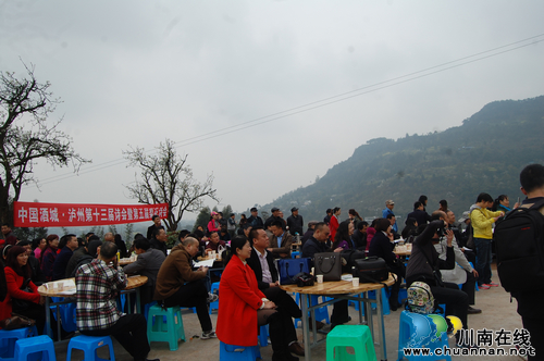 泸州第五届“梨花诗会”获奖名单出炉(图3)