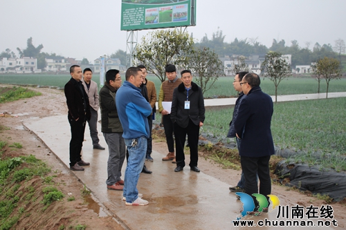 泸县嘉明镇小农水重点县建设项目通过验收(图1)