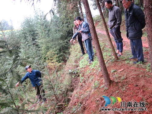 宜宾:林丰乡土地确权指界工作全面展开(图3) 宜宾:林丰乡土地确权指界工作全面展开(图3)