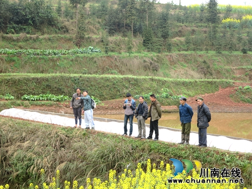 宜宾:林丰乡土地确权指界工作全面展开(图2) 宜宾:林丰乡土地确权指界工作全面展开(图2)