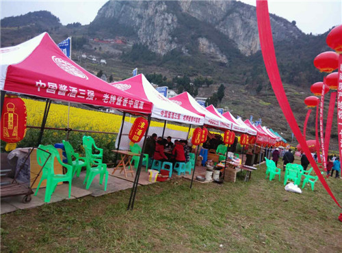 古蔺仙潭集团全程赞助双沙菜花节(图4) 古蔺仙潭集团全程赞助双沙菜花节(图4)