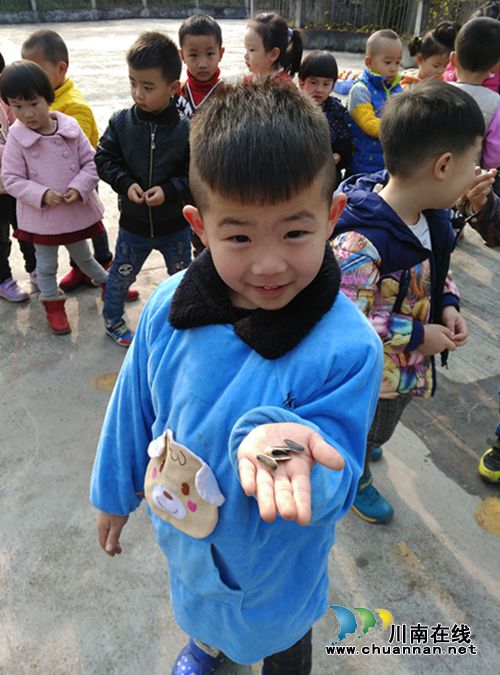 叙永东城幼儿园开展春季趣味种植活动(图1) 叙永东城幼儿园开展春季趣味种植活动(图1)