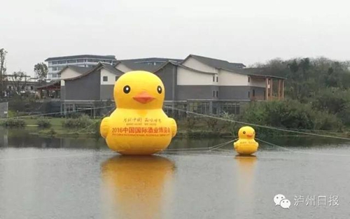 除了品尝美酒美食 还能看啥? 酒博会最新看点(图1) 除了品尝美酒美食 还能看啥? 酒博会最新看点(图1)