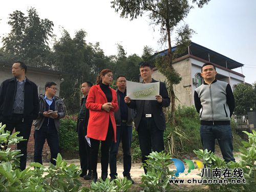 泸县调研玉蟾街道农村宅基地制度改革工作(图1) 泸县调研玉蟾街道农村宅基地制度改革工作(图1)