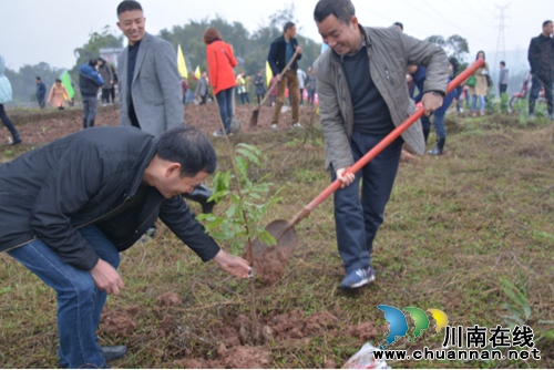 大山坪街道:开展“多一片绿色,多一份温馨”植树活动(图1) 大山坪街道:开展“多一片绿色,多一份温馨”植树活动(图1)