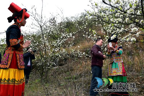 叙永赤水河畔 万亩花海怒放喜迎四方宾客(图6) 叙永赤水河畔 万亩花海怒放喜迎四方宾客(图6)