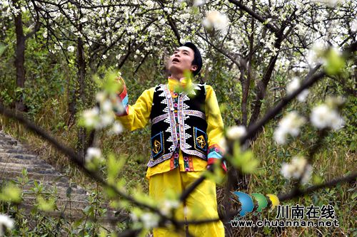 叙永赤水河畔 万亩花海怒放喜迎四方宾客(图4) 叙永赤水河畔 万亩花海怒放喜迎四方宾客(图4)