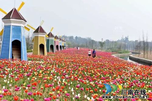 好腐败!98元!随便吃随便耍随便摸通宵狂欢!(图8) 好腐败!98元!随便吃随便耍随便摸通宵狂欢!(图8)