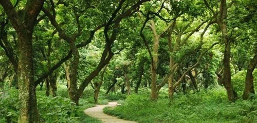 泸州,离大旅游还有多远?(图2) 泸州,离大旅游还有多远?(图2)