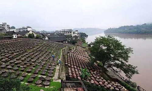 泸州,离大旅游还有多远?(图16) 泸州,离大旅游还有多远?(图16)