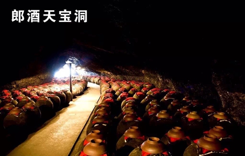 泸州,离大旅游还有多远?(图11) 泸州,离大旅游还有多远?(图11)