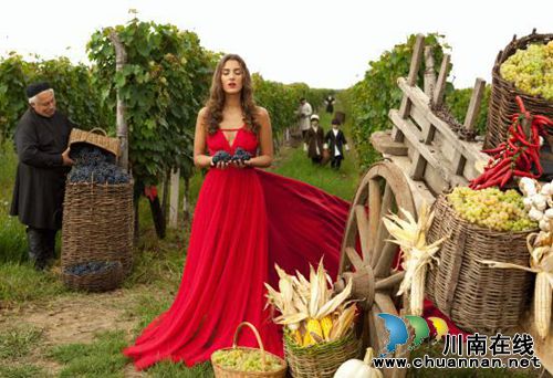 2016酒博会 主宾国葡萄酒专场品鉴会虚席以待(图1) 2016酒博会 主宾国葡萄酒专场品鉴会虚席以待(图1)