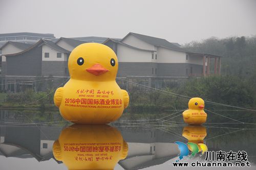 2016中国国际酒业博览会在泸州隆重开幕(图13) 2016中国国际酒业博览会在泸州隆重开幕(图13)