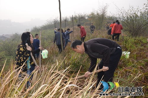 华阳街道:百人植树忙 同植绿色“青山”(图2) 华阳街道:百人植树忙 同植绿色“青山”(图2)