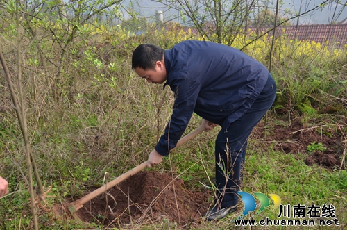 华阳街道:百人植树忙 同植绿色“青山”(图3) 华阳街道:百人植树忙 同植绿色“青山”(图3)