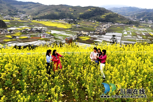 叙永：万亩油菜花让“石头山”变“金山”(图2)